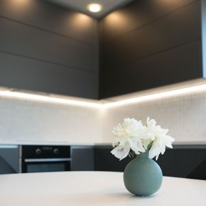 lacu-gimene-virtuve-3