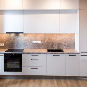 virtuve-martins-pinki-1