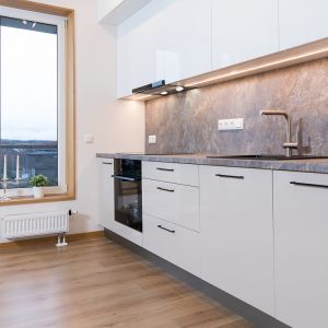 virtuve-martins-pinki-2